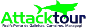 default-logo